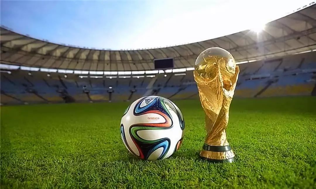 与体能专项 与体能专项